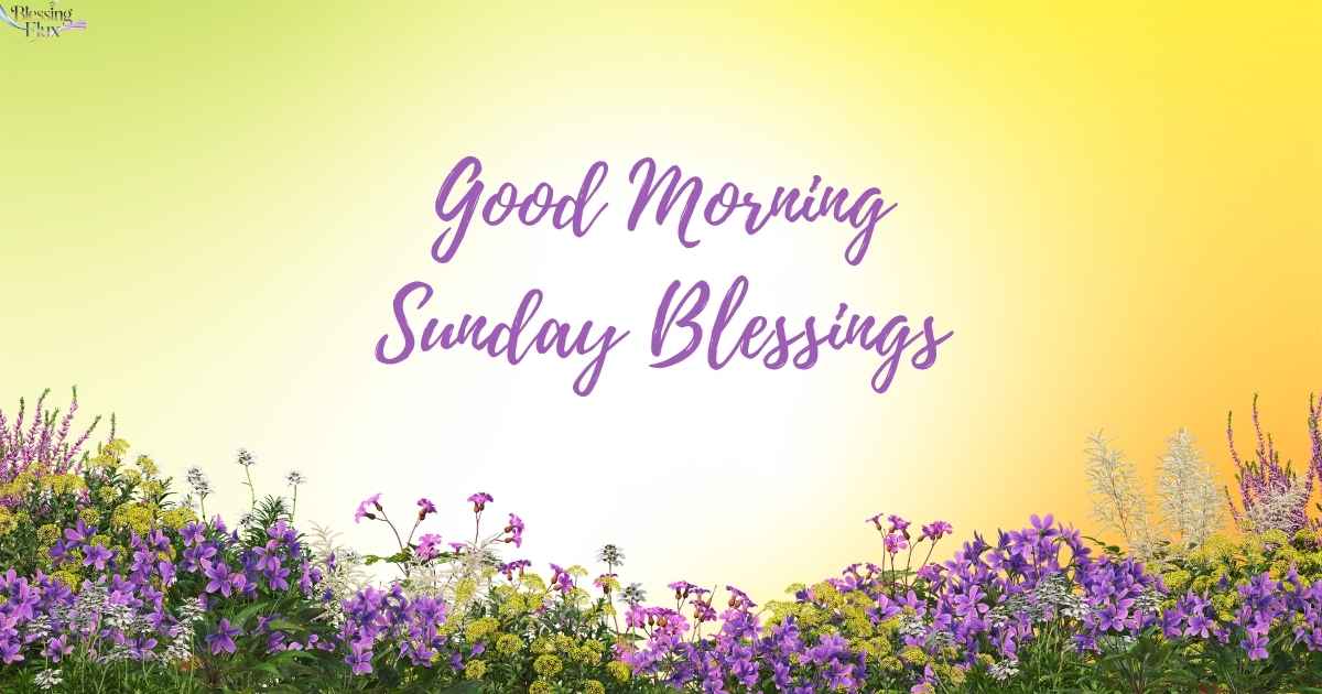 Good Morning Sunday Blessings 120+ Quotes, Prayers and Wishes