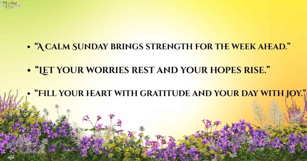 🌼 Good Morning Sunday Blessings Images and Quotes